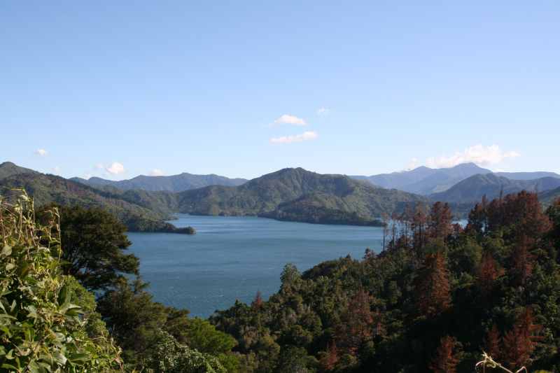 Nieuw-Zeeland 2011 - 0960